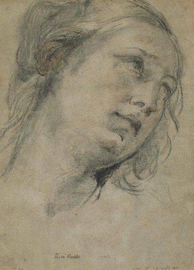 上向きの若い女性の頭 作： Guido Reni